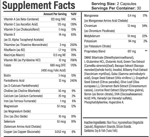 NeuroPlus