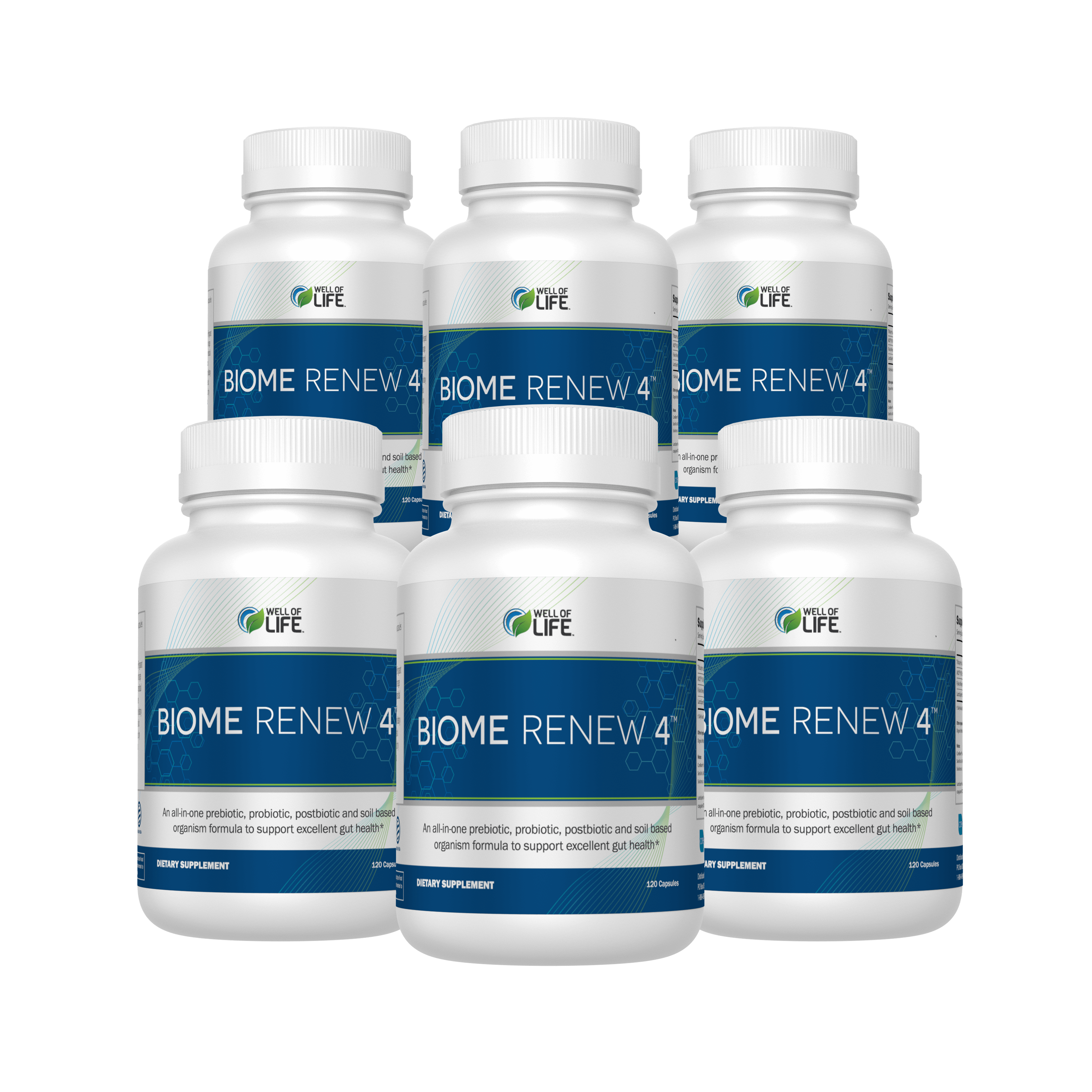 Biome Renew 4